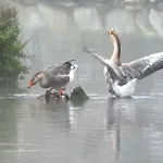 Camping Du Canal