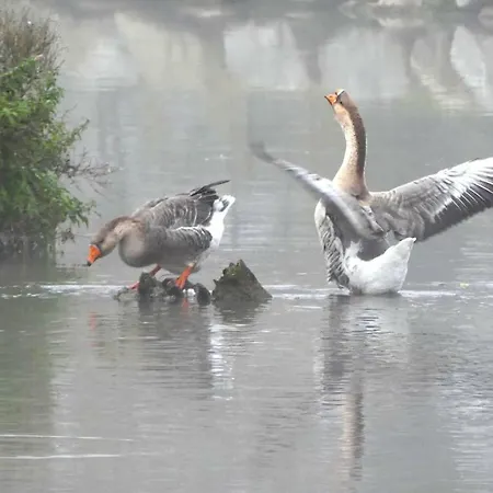 Campeggio Du Canal